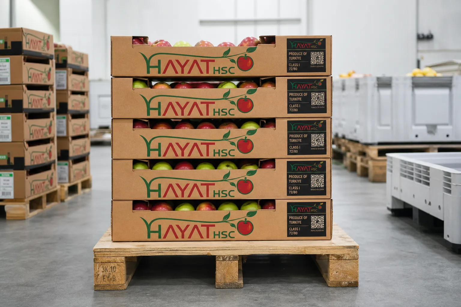 Hayat HSC export-grade apple cartons prepared for delivery