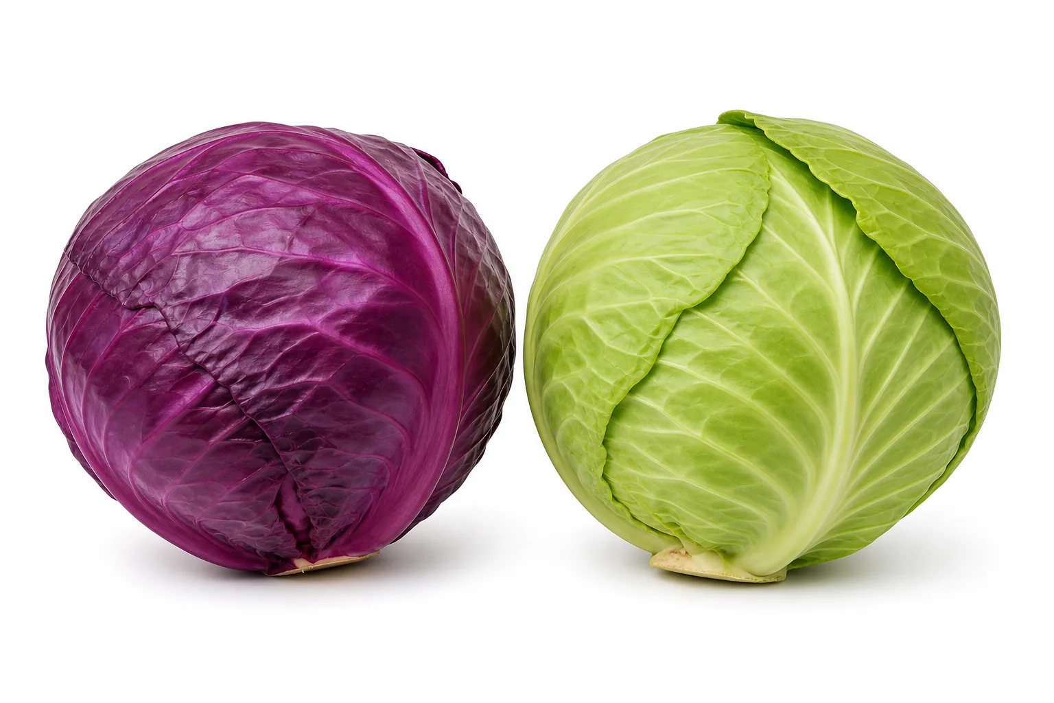 Cabbage, view 2