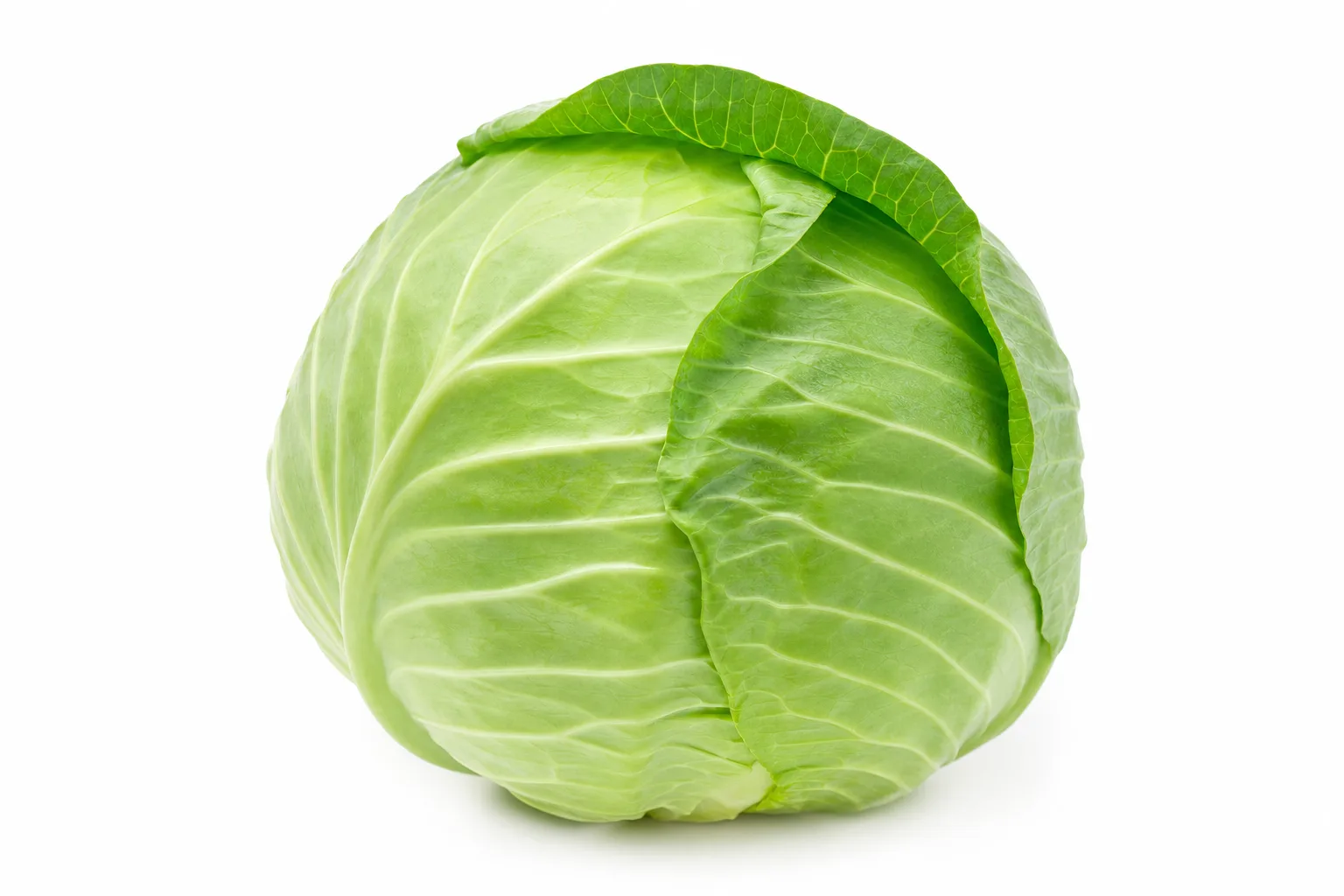 Cabbage