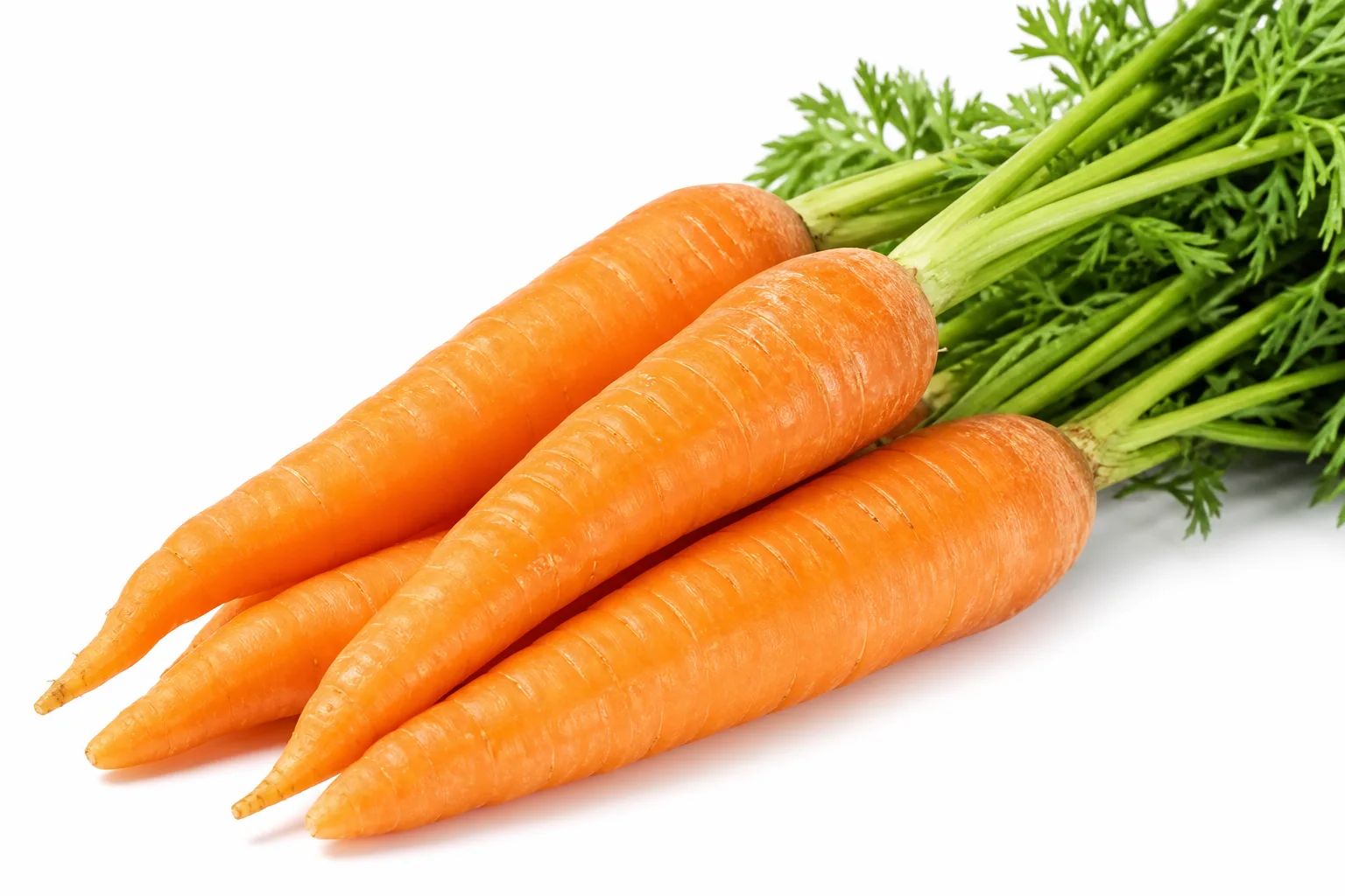 Carrots, view 1