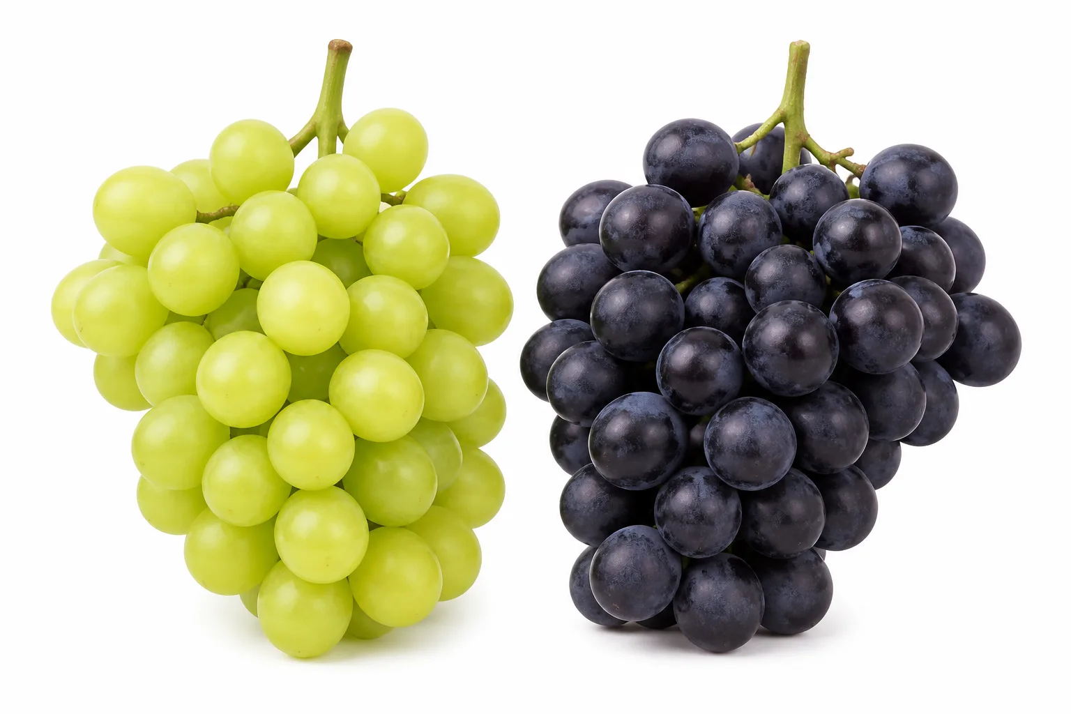 Grapes, view 2