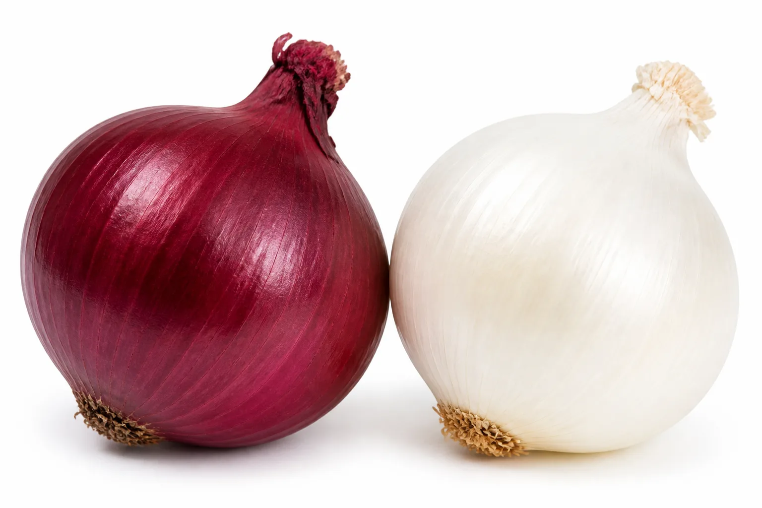 Onions, view 1