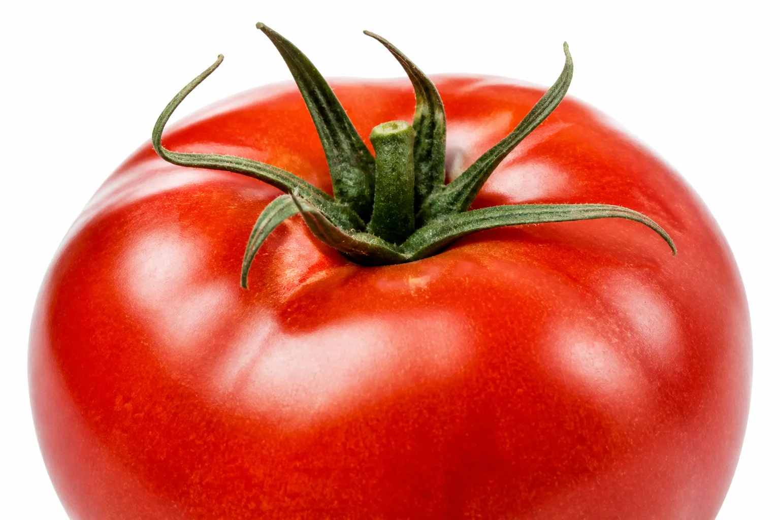 Tomatoes, view 1