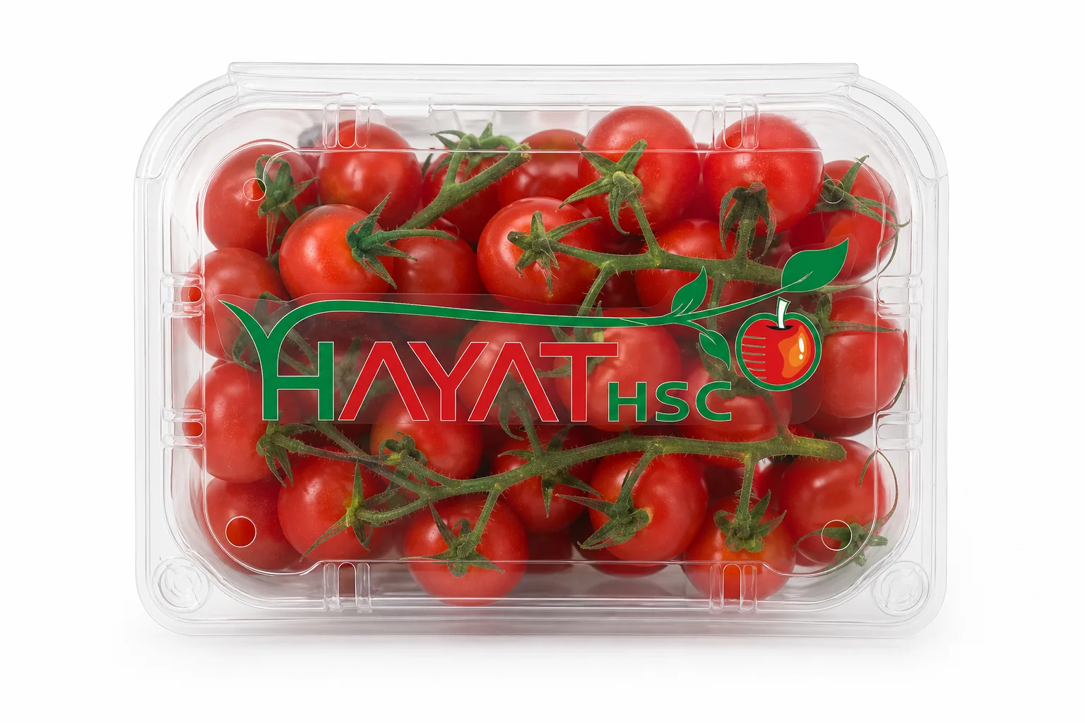 Tomatoes in Hayat HSC retail packaging