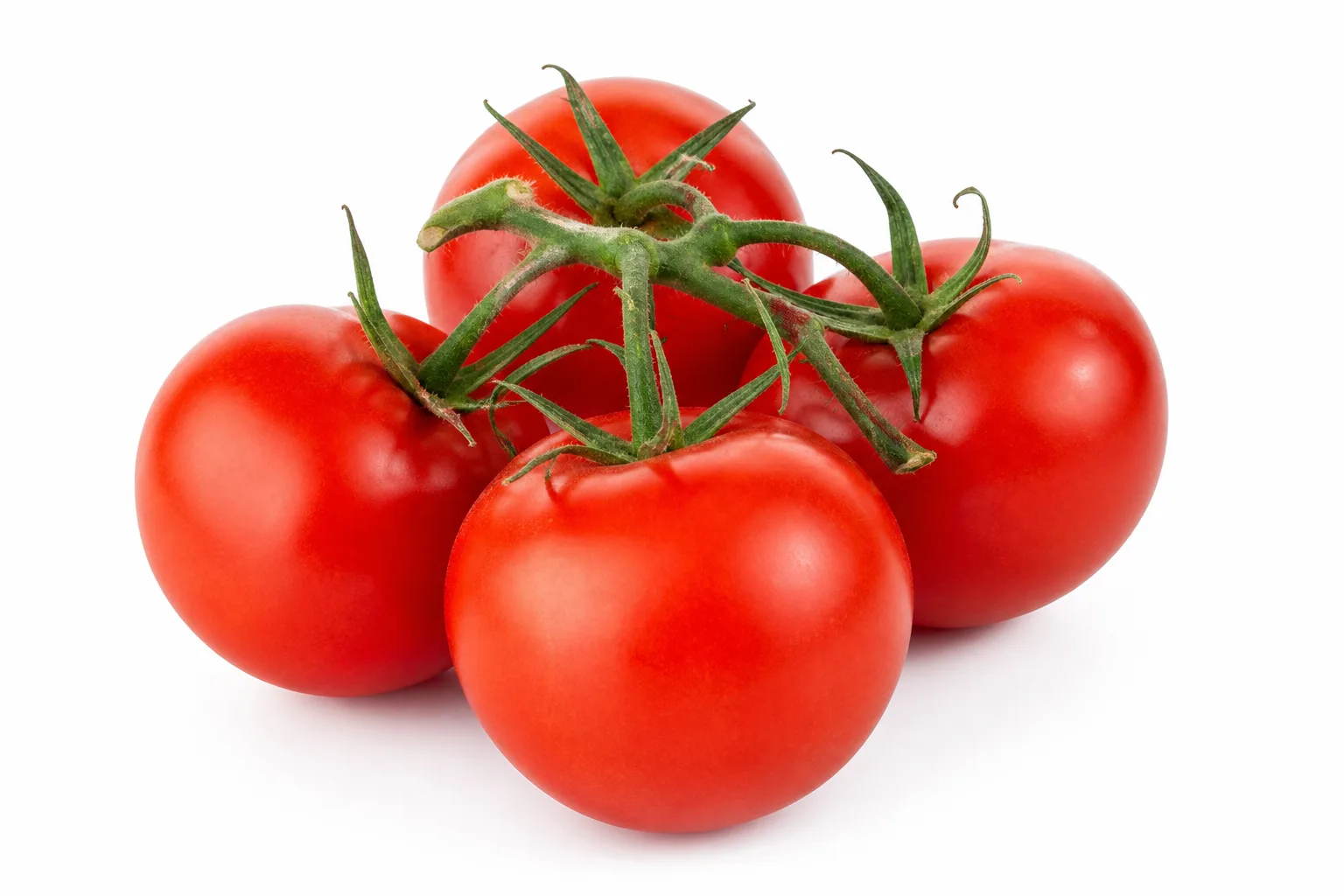 Tomatoes